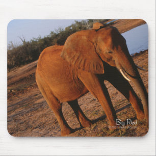 Alfombrilla De Ratón Rojo grande