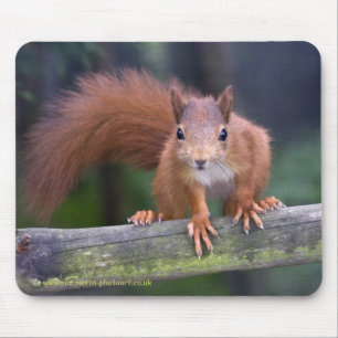 Alfombrilla De Ratón Rojo Mousemat del bebé