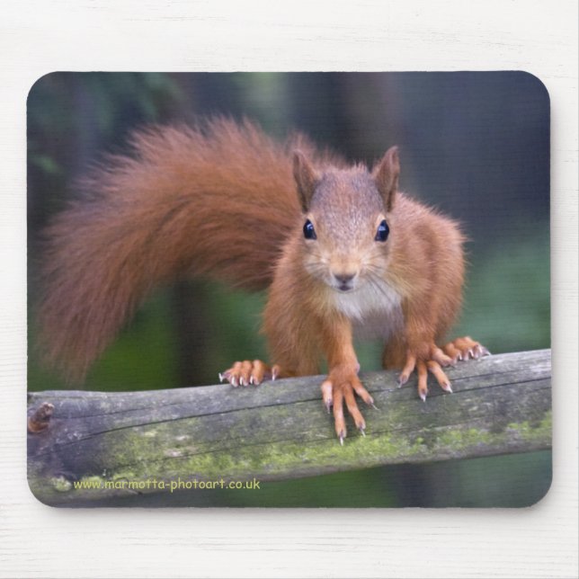 Alfombrilla De Ratón Rojo Mousemat del bebé (Frente)