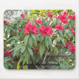 Alfombrilla De Ratón Rojo Rododendros