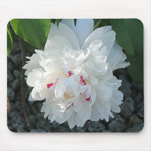Alfombrilla De Ratón Romántico Peony Mousepad (Frente)