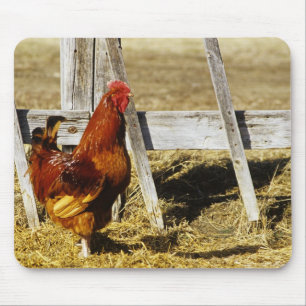 Alfombrilla De Ratón Rooster de Rhode Island