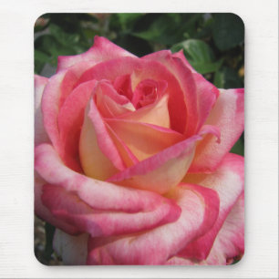 Alfombrilla De Ratón Rosa