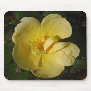 Alfombrilla De Ratón Rosa amarillo salvaje