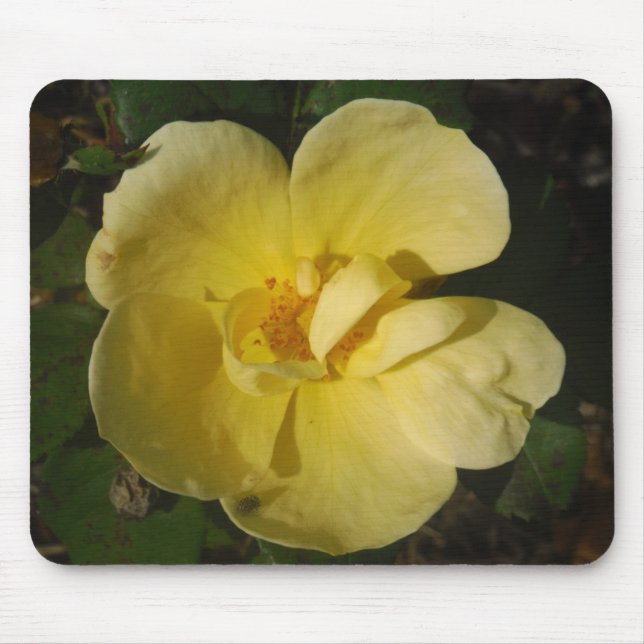 Alfombrilla De Ratón Rosa amarillo salvaje (Frente)