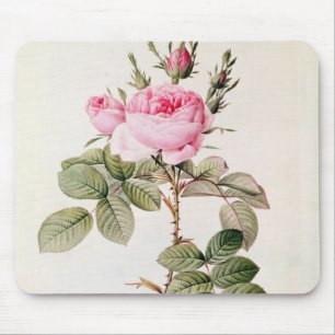 Alfombrilla De Ratón Rosa Bifera Officinalis, de los 'rosas de Les