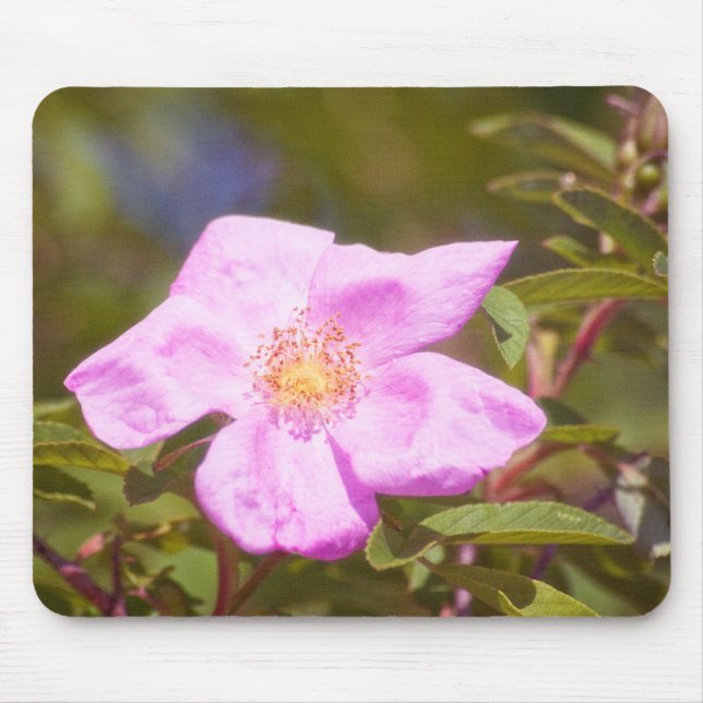 Alfombrilla De Ratón Rosa Briar (Frente)