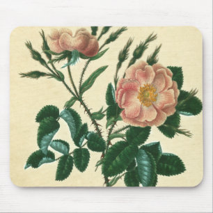 Alfombrilla De Ratón Rosa Briar dulce