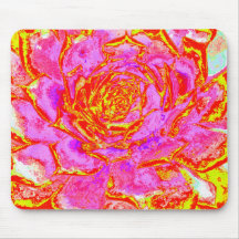 Rosa Caliente, Rojo y Amarillo Suculento Sedum Ros