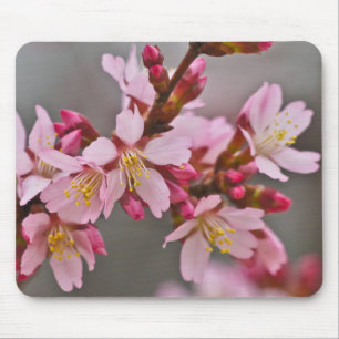 Alfombrilla De Ratón Rosa Contra Un Cielo Gris Flor de Cerezo Japonesa
