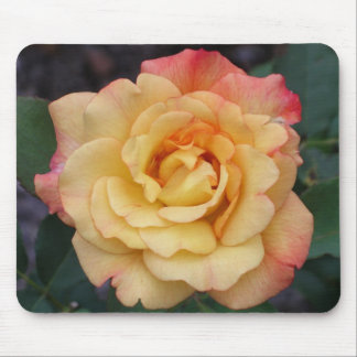 Alfombrilla De Ratón Rosa de paz hermosa floral rosa y amarilla