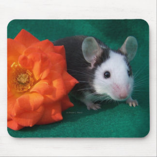 Alfombrilla De Ratón Rosa de té blanco negro del ratón y del naranja