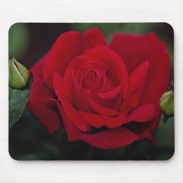 Alfombrilla De Ratón Rosa de té híbrido precioso 'Chrysler Imperial (Frente)