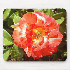 Alfombrilla De Ratón Rosa del día soleado.........