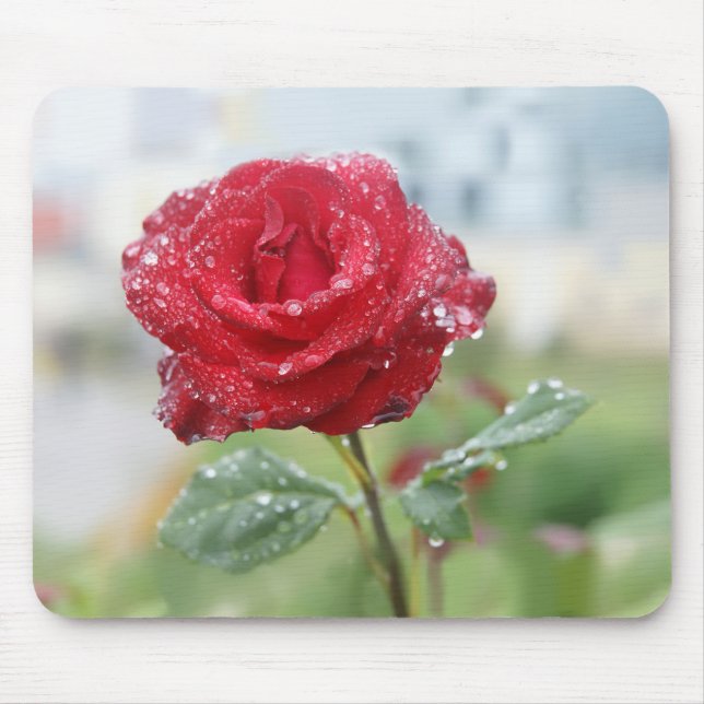 Alfombrilla De Ratón Rosa en gotas de lluvia (Frente)