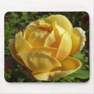 Alfombrilla De Ratón Rosa inglés amarillo