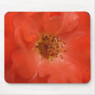 Alfombrilla De Ratón Rosa naranja