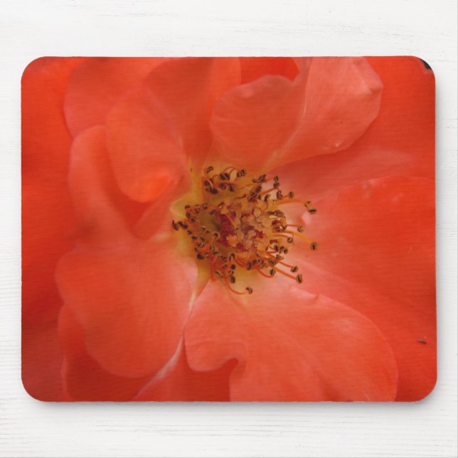 Alfombrilla De Ratón Rosa naranja (Frente)