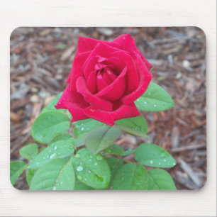 Alfombrilla De Ratón Rosa Roja