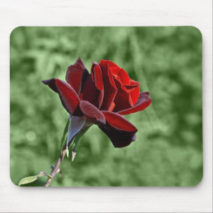 Alfombrilla de ratón Rosa Roja