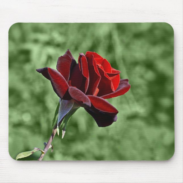 Alfombrilla de ratón Rosa Roja (Frente)