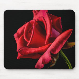 Alfombrilla De Ratón Rosa roja contra fondo negro