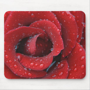 Alfombrilla De Ratón Rosa roja cubierta de rocío decorando un lugar de 