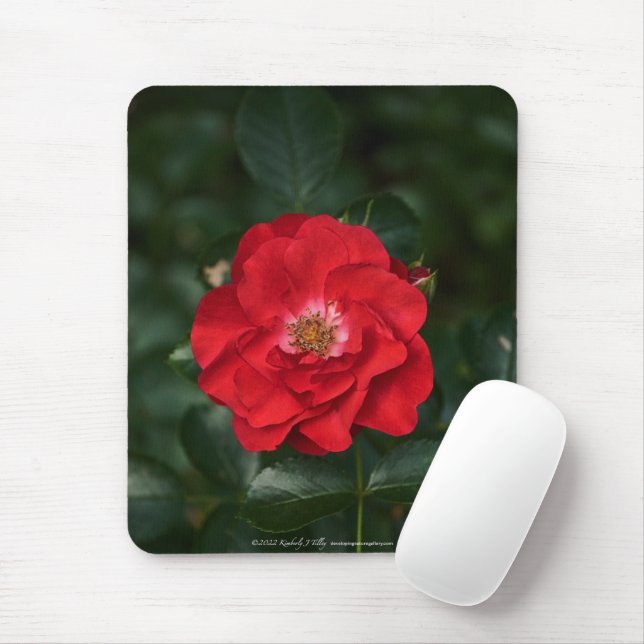 Alfombrilla De Ratón Rosa roja P6568 (Con ratón)