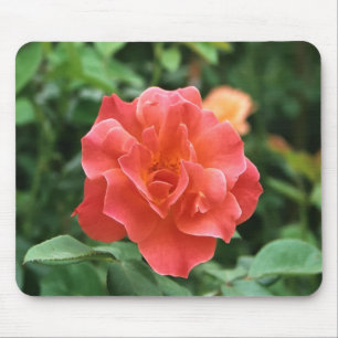 Alfombrilla De Ratón Rosa roja pálida......