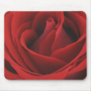Alfombrilla De Ratón Rosa rojo floreciente
