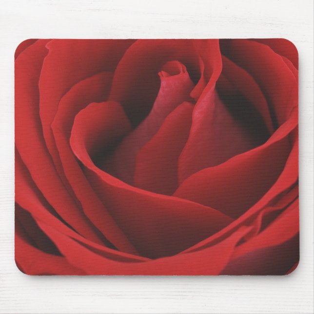 Alfombrilla De Ratón Rosa rojo floreciente (Frente)