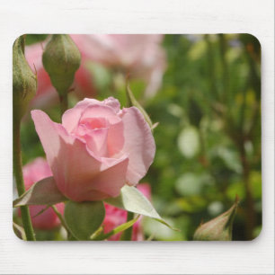 Alfombrilla De Ratón Rosa rosa