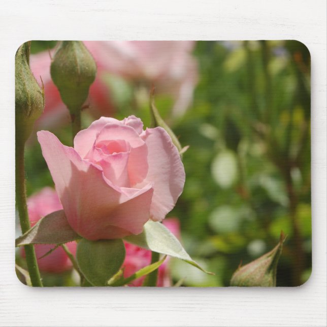 Alfombrilla De Ratón Rosa rosa (Frente)