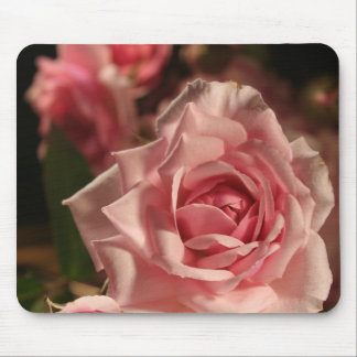 Alfombrilla De Ratón Rosa rosa