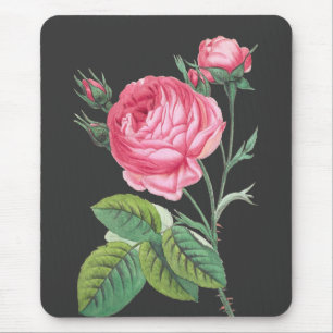 Alfombrilla De Ratón Rosa rosa floral moderno
