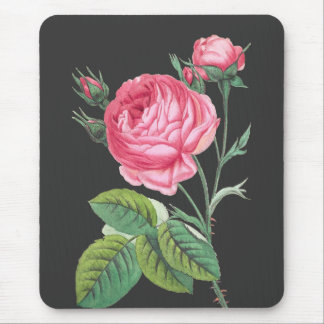 Alfombrilla De Ratón Rosa rosa floral moderno