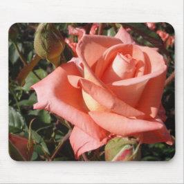 Alfombrilla De Ratón Rosa Rosa Melocotón