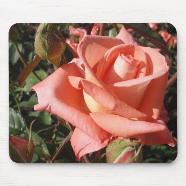Alfombrilla De Ratón Rosa Rosa Melocotón (Frente)