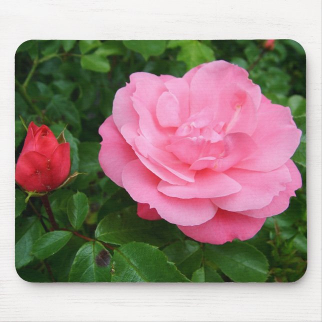 Alfombrilla De Ratón rosa rosa rosa rosa (Frente)
