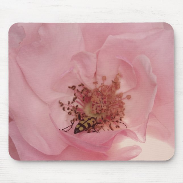 Alfombrilla De Ratón Rosa rosa y un insecto fotográfico Mousepad (Frente)