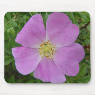 Alfombrilla De Ratón Rosa silvestre de la pradera "Rosa arkansana"