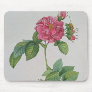 Alfombrilla De Ratón Rosa Turbinata, de, Les Roses', vol. 1, 1817