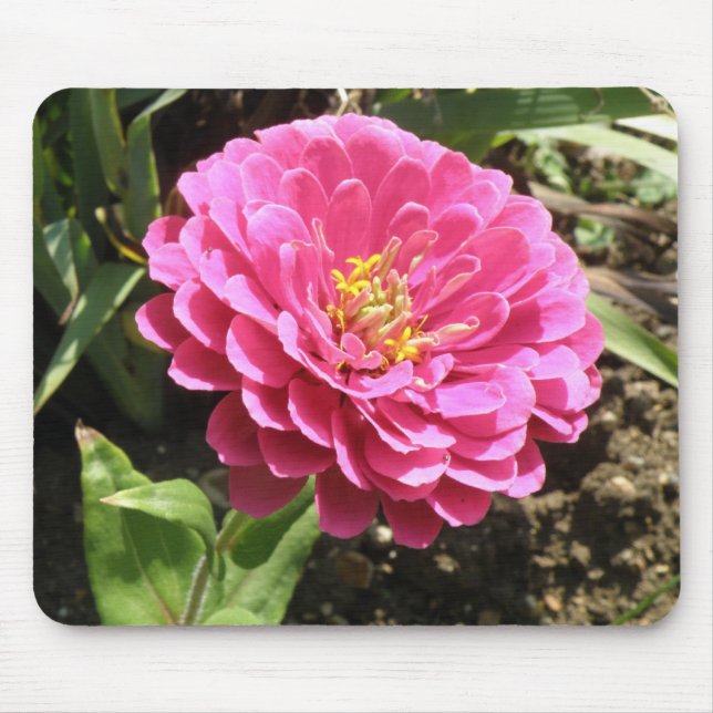 Alfombrilla De Ratón Rosa Zinnia Mousepad (Frente)