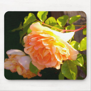 Alfombrilla De Ratón Rosas de Country Peach