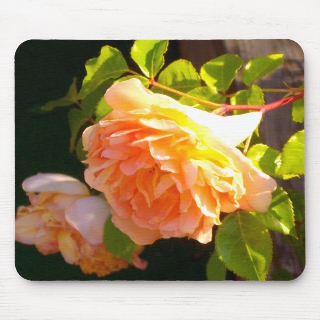 Alfombrilla De Ratón Rosas de Country Peach (Frente)