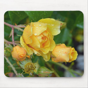 Alfombrilla De Ratón Rosas de primavera amarilla imprimen mousepad