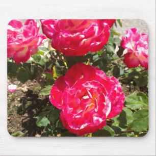 Alfombrilla De Ratón Rosas del Jardín Rojo