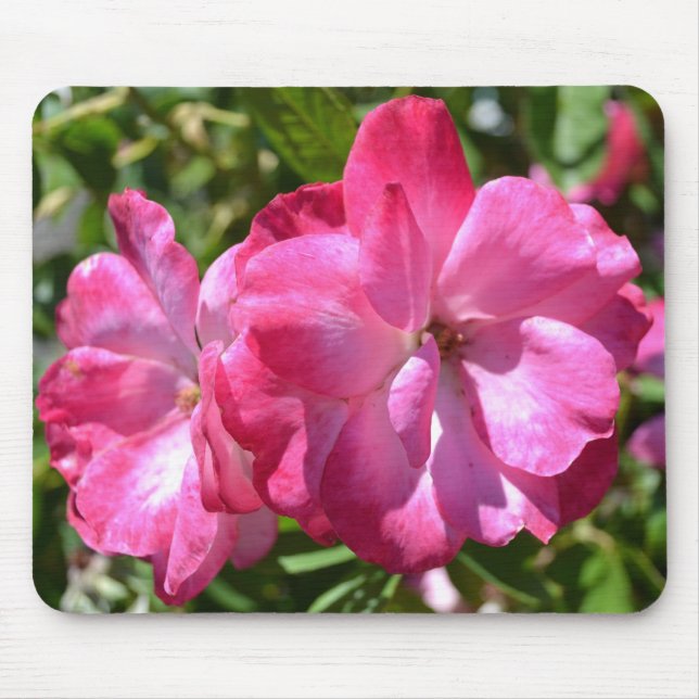 Alfombrilla De Ratón Rosas del verano (Frente)
