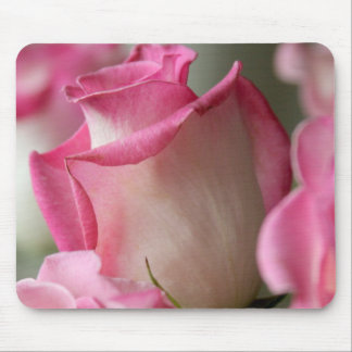 Alfombrilla De Ratón Rosas rosados y blancos