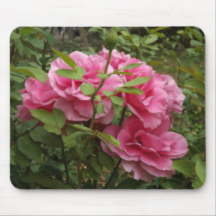 Alfombrilla De Ratón Rosas rosas rosas